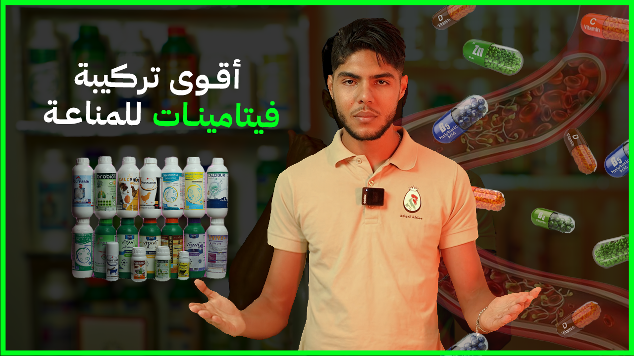 الدليل الكامل للفيتامينات: خلّي قطيعك ديما في فورما